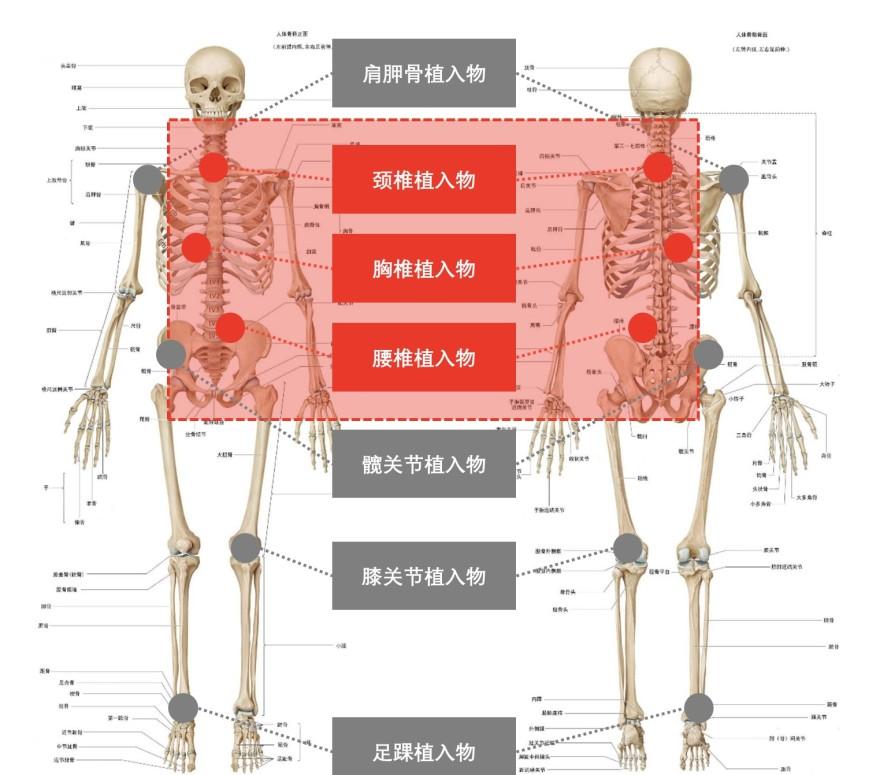 特色图表