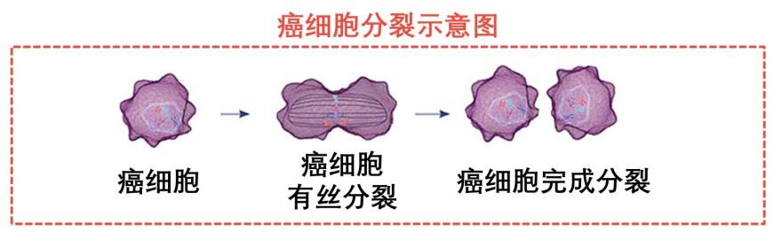特色图表