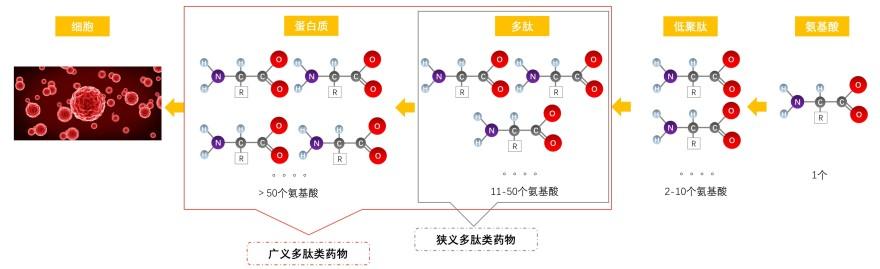 特色图表