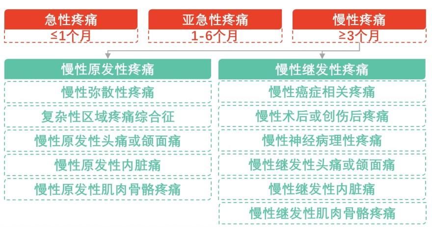 特色图表
