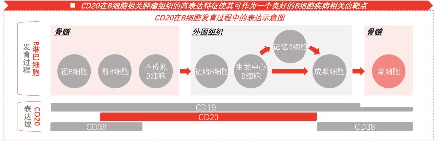 特色图表