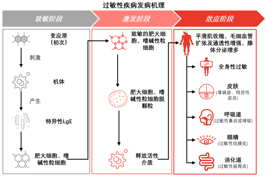 特色图表