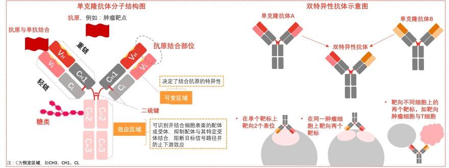 特色图表