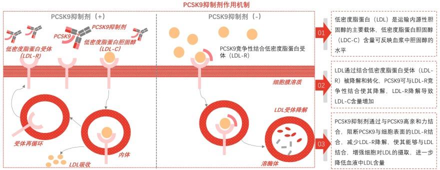 特色图表