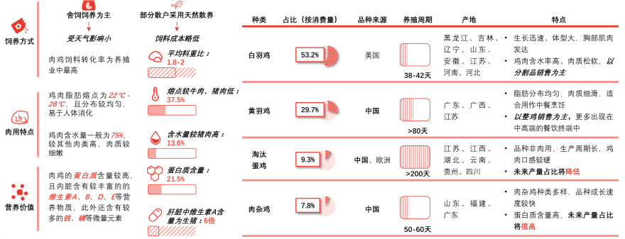 特色图表