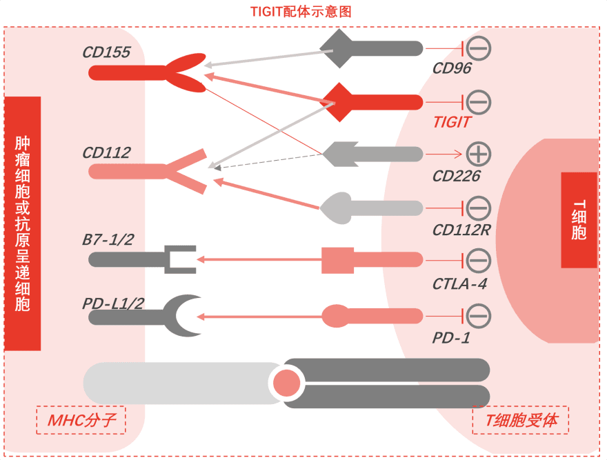 特色图表