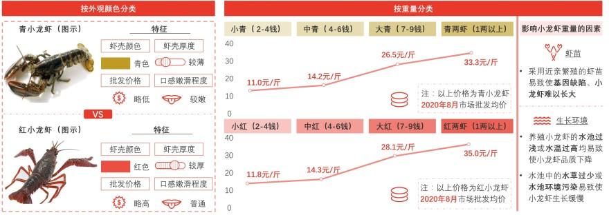 特色图表