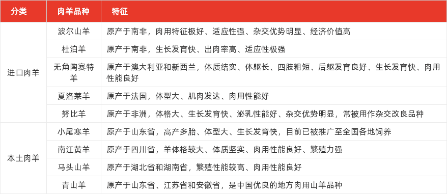 特色图表