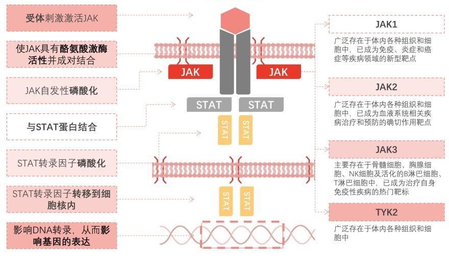 特色图表