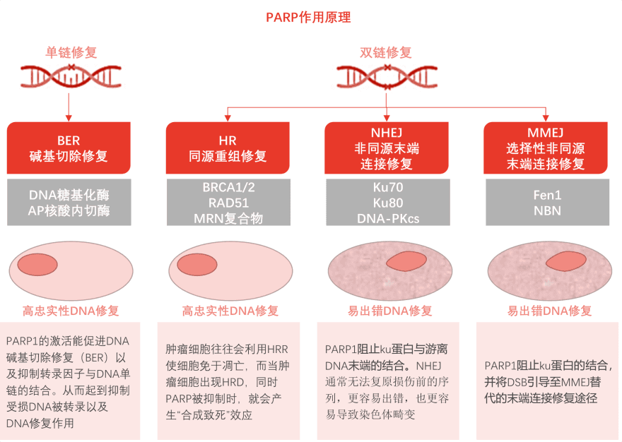 特色图表