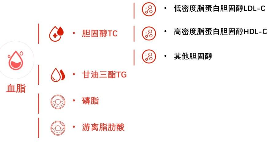 特色图表
