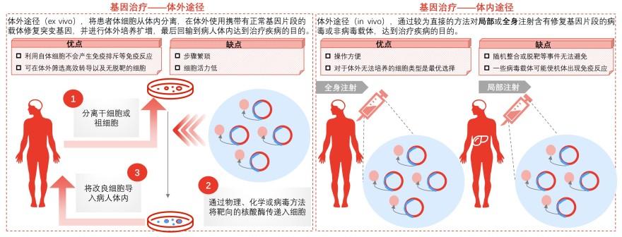 特色图表