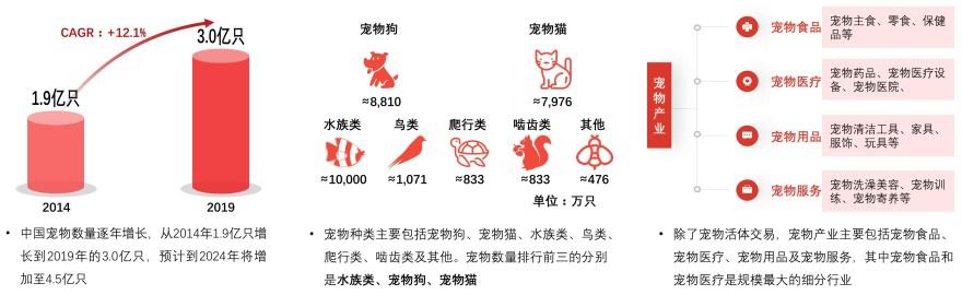 特色图表