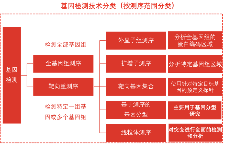 特色图表