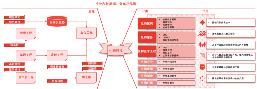 特色图表