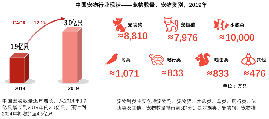 特色图表