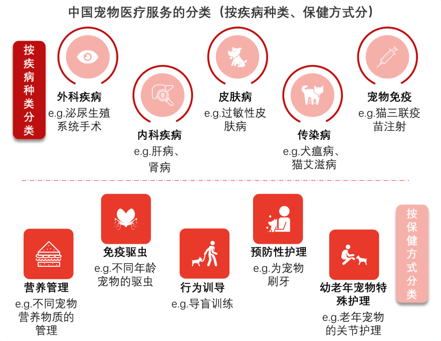 特色图表