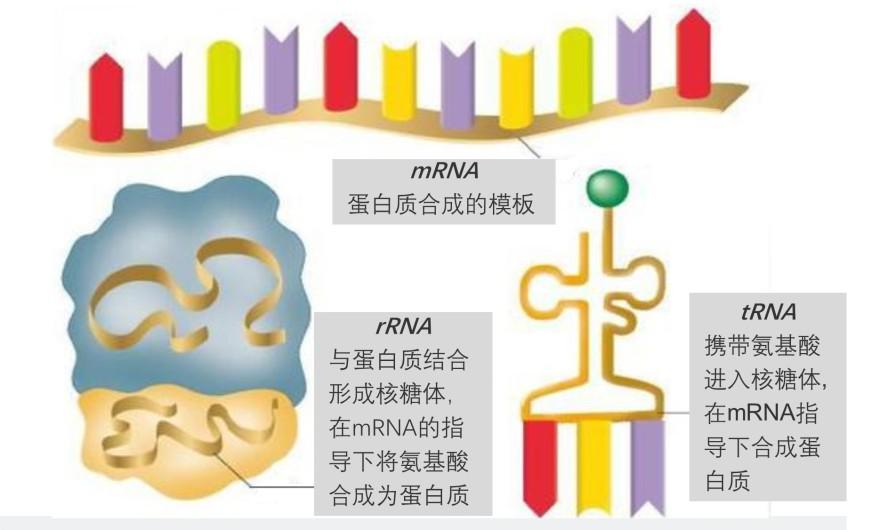 特色图表