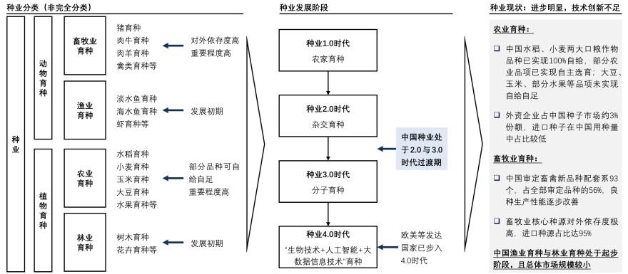 特色图表