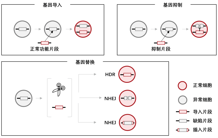 特色图表
