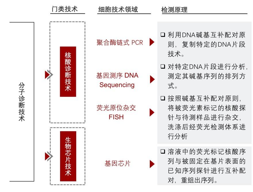 特色图表