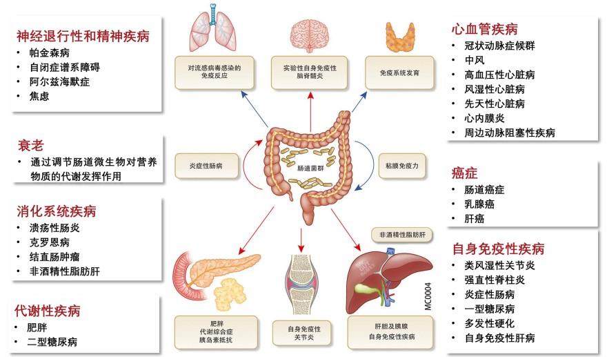 特色图表