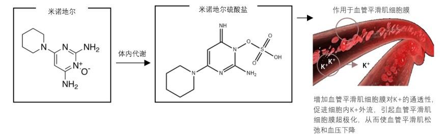 特色图表