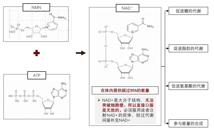 特色图表