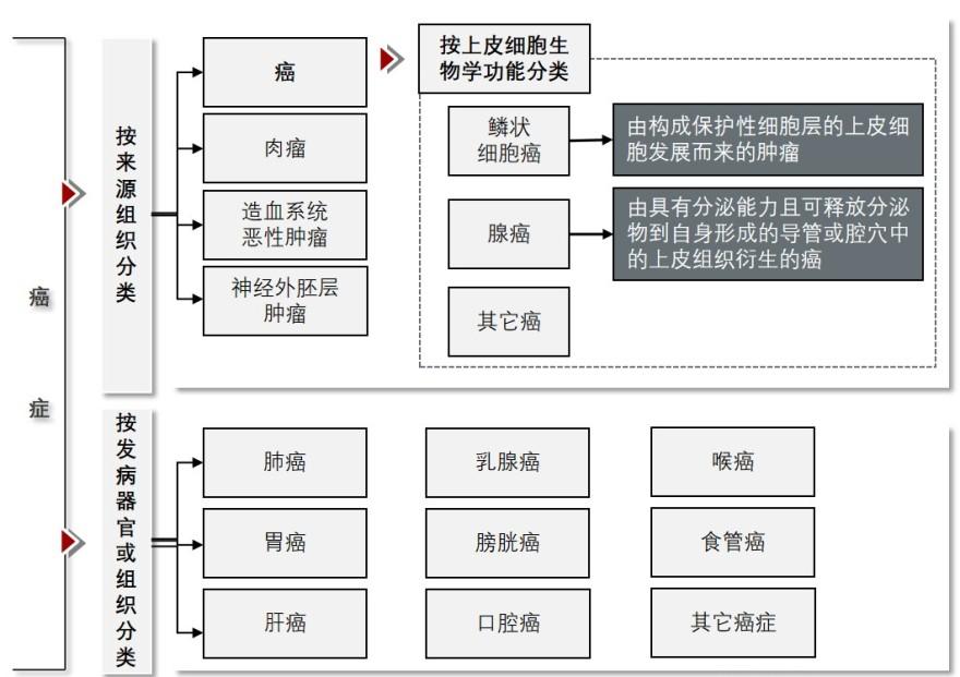 特色图表