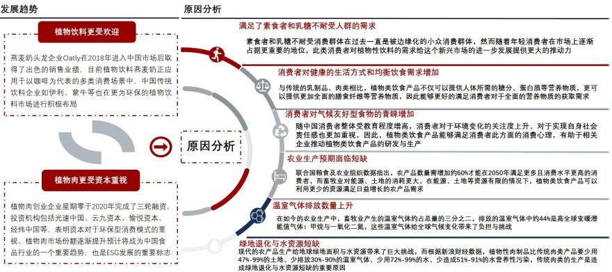 特色图表