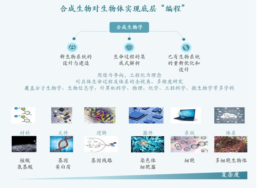 特色图表