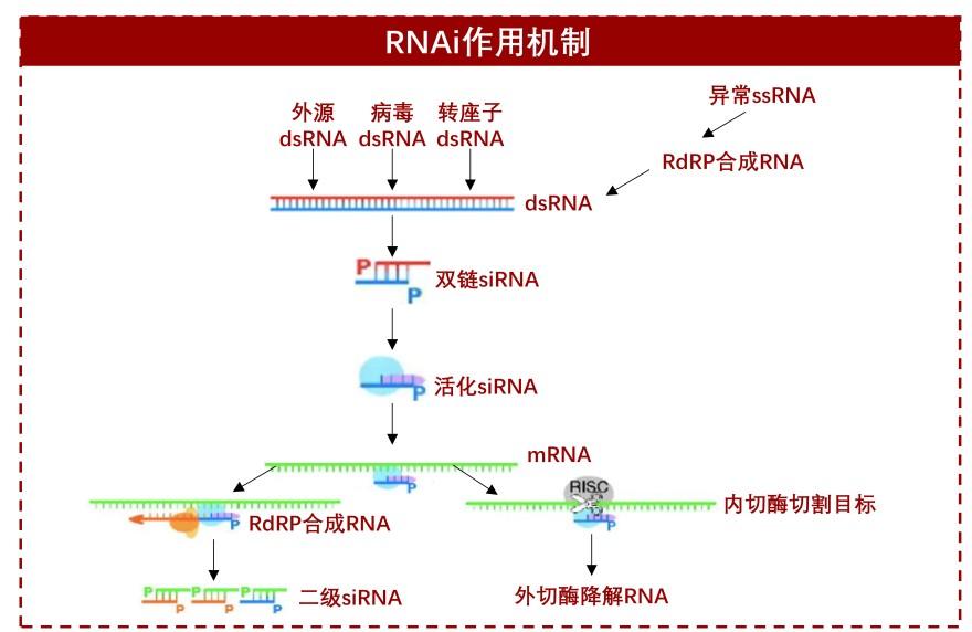 特色图表