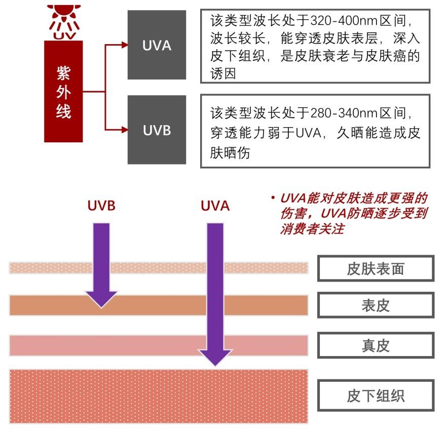 特色图表