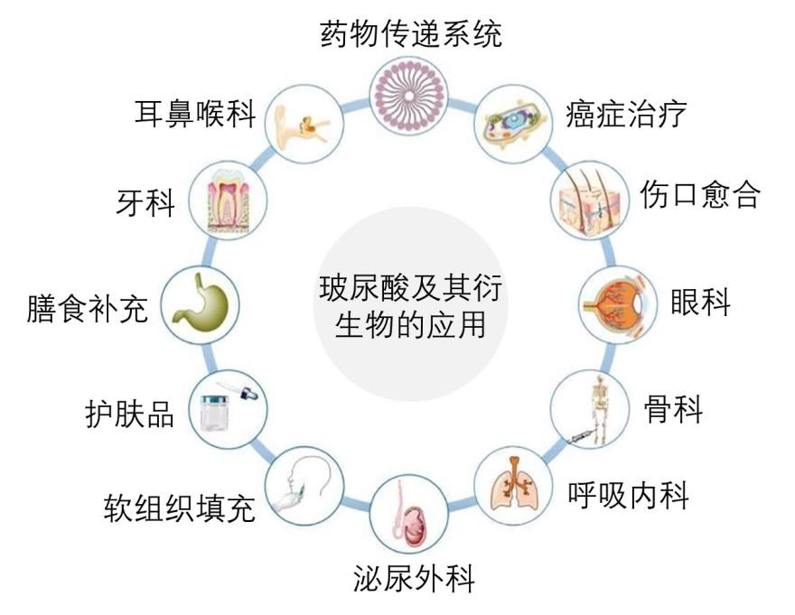 特色图表