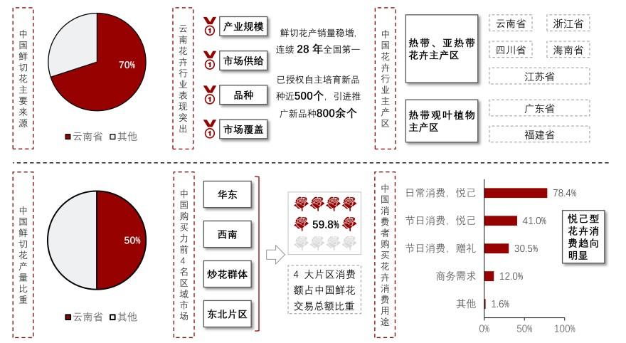 特色图表