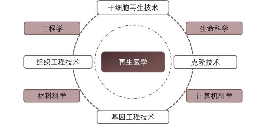 特色图表