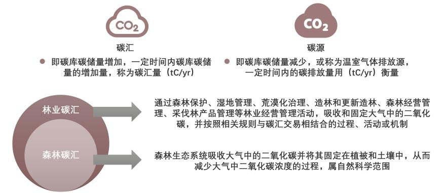 特色图表