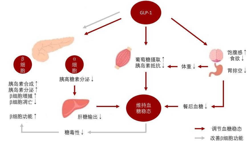 特色图表