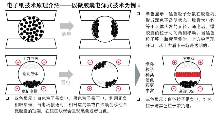 特色图表
