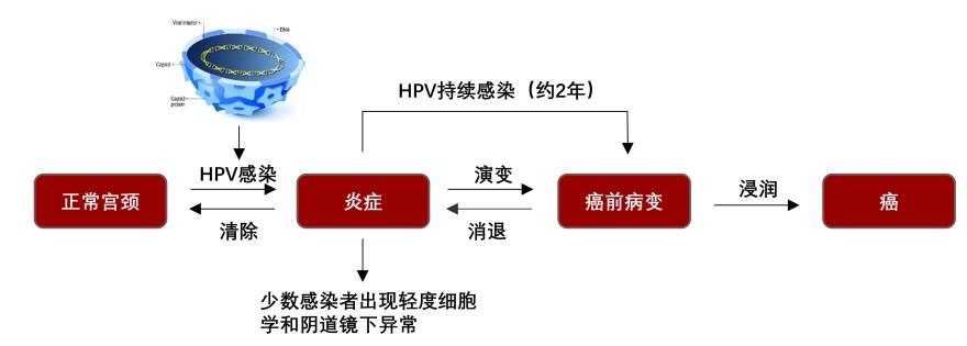特色图表