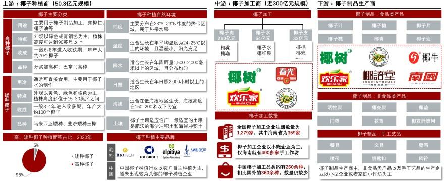 特色图表