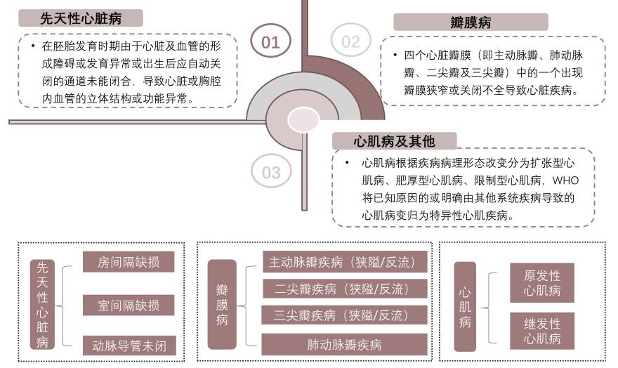 特色图表