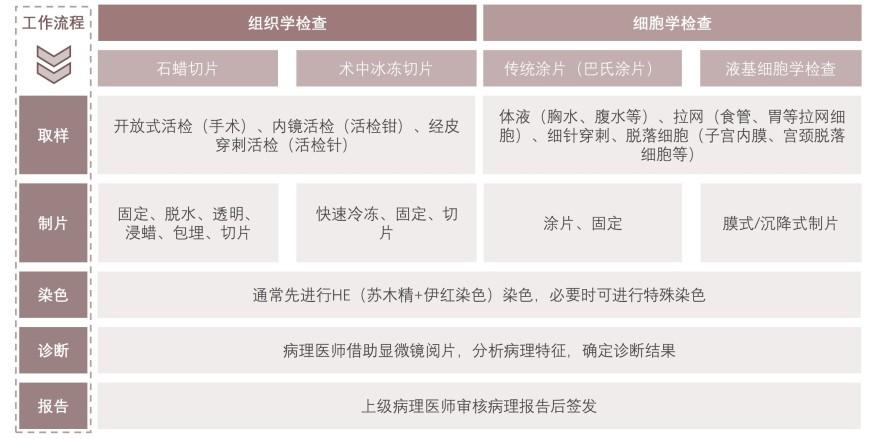 特色图表