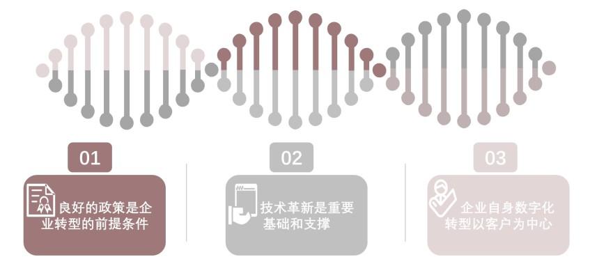 特色图表