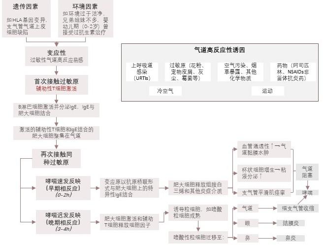 特色图表