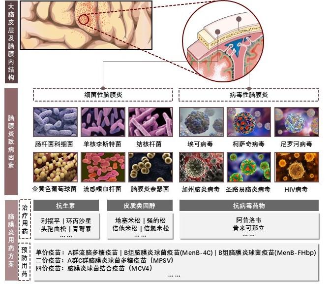 特色图表