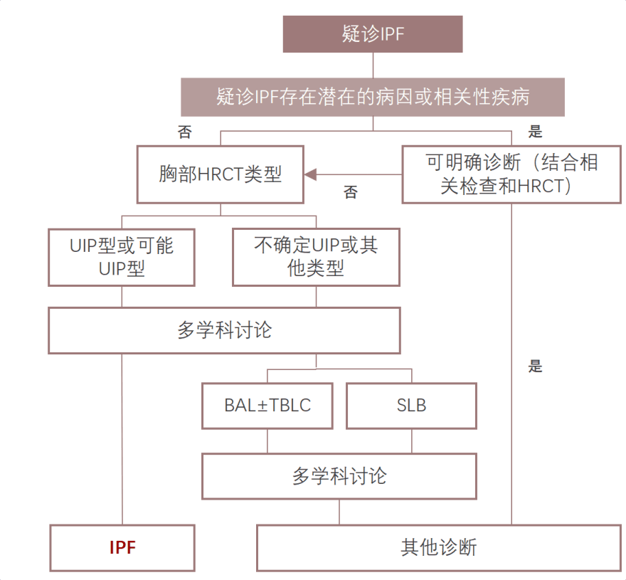 特色图表