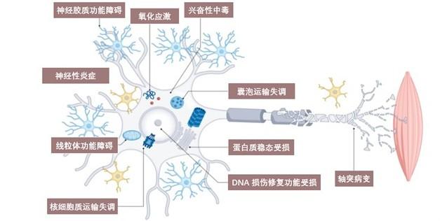 特色图表
