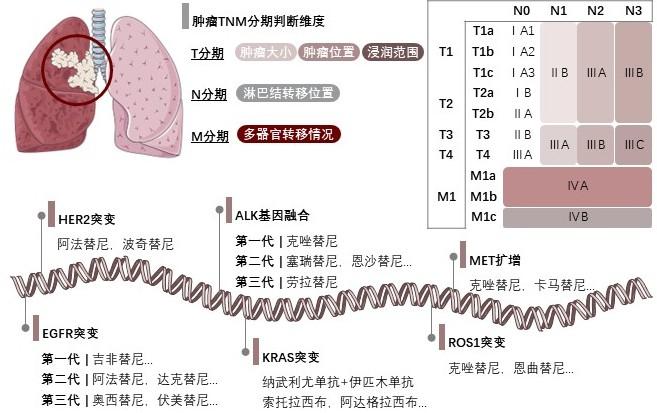 特色图表