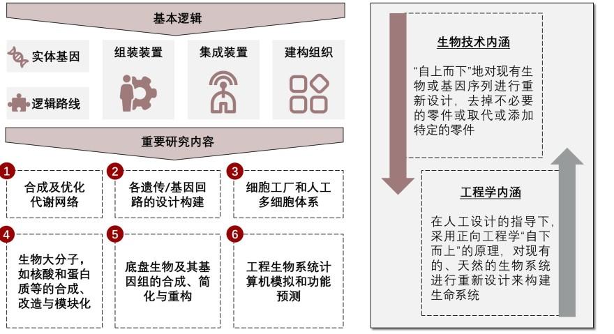 特色图表